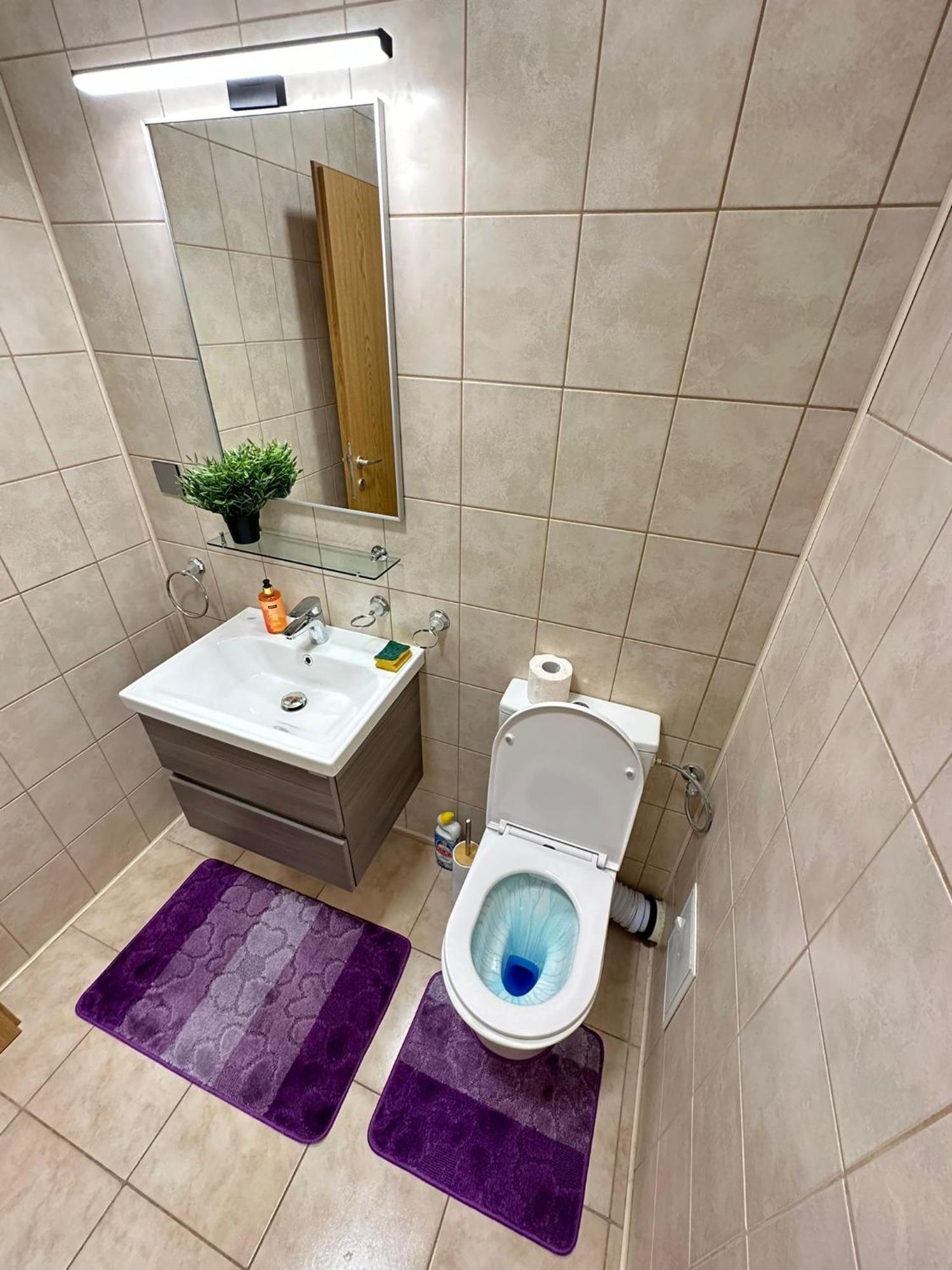 Centru Unirii Luxury Vip Palmier Apartament 2 Camere Cu Terasa Exterioara Amenajata ! Parcare Subterana Privata Climatizata Si Supravegheata Video Dar Doar Cu Rezervare In Limita Locurilor Disponibile !Proprietate In Regim Hoteliep - Nu Are Bucatarie Bukarest Kültér fotó