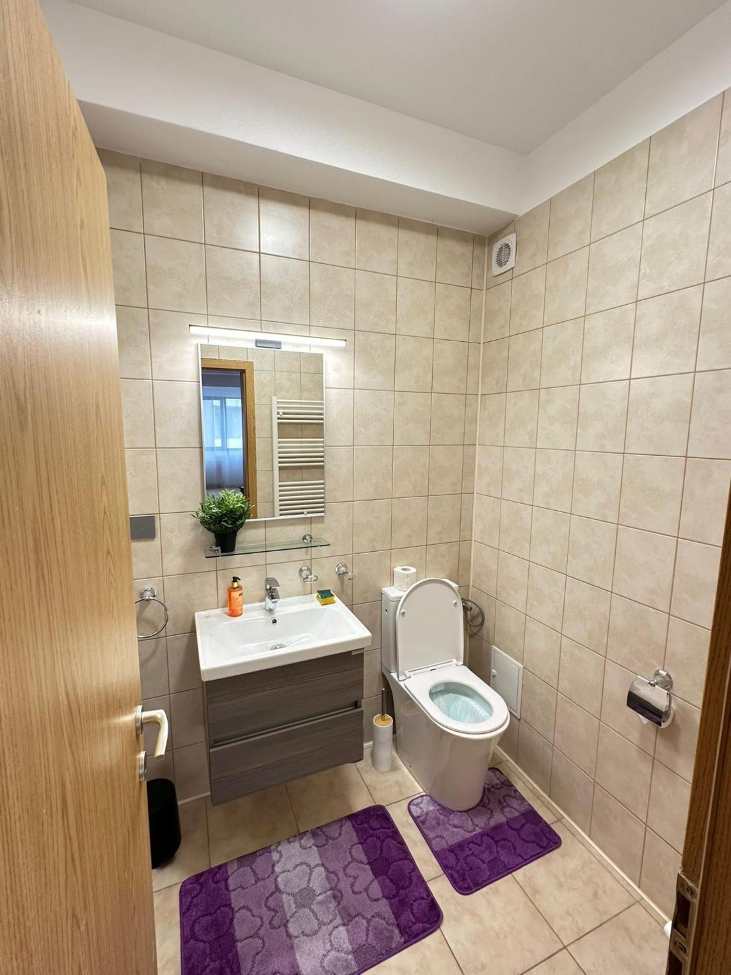 Centru Unirii Luxury Vip Palmier Apartament 2 Camere Cu Terasa Exterioara Amenajata ! Parcare Subterana Privata Climatizata Si Supravegheata Video Dar Doar Cu Rezervare In Limita Locurilor Disponibile !Proprietate In Regim Hoteliep - Nu Are Bucatarie Bukarest Kültér fotó